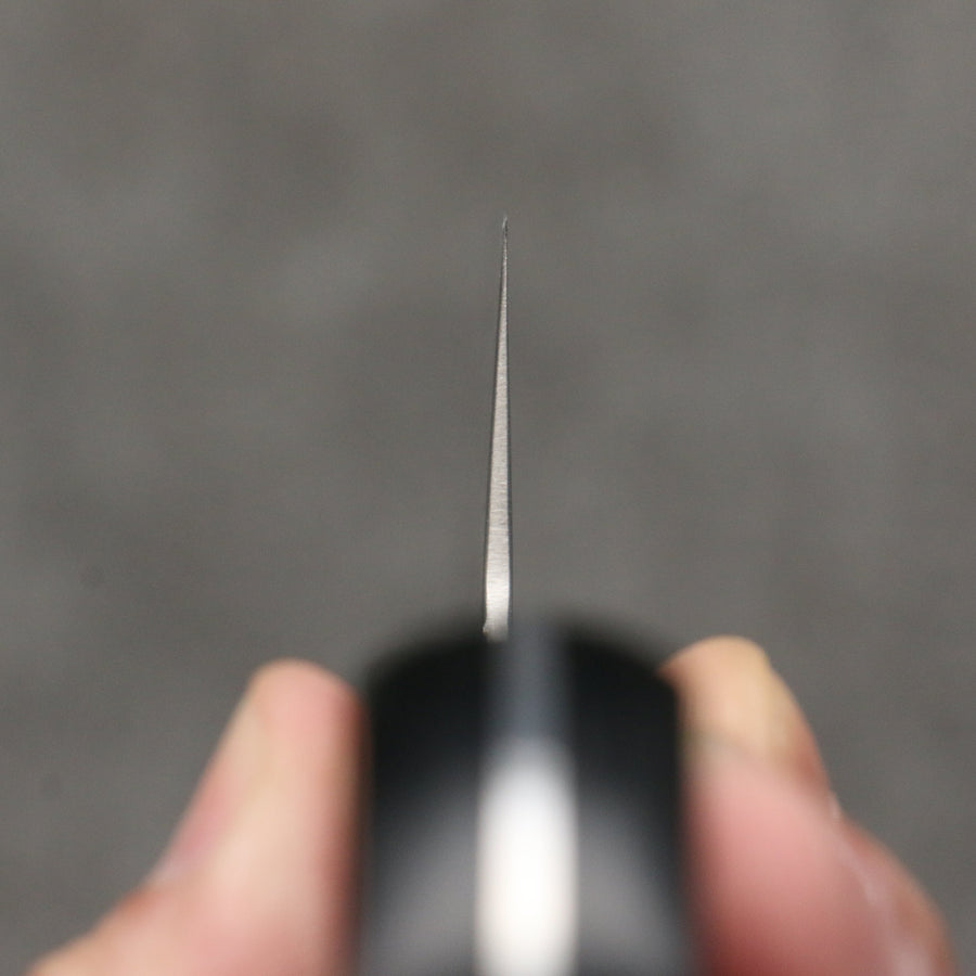 Seisuke Hamono AUS8 Hammered Kiritsuke Gyuto 210mm - The Sharp Chef