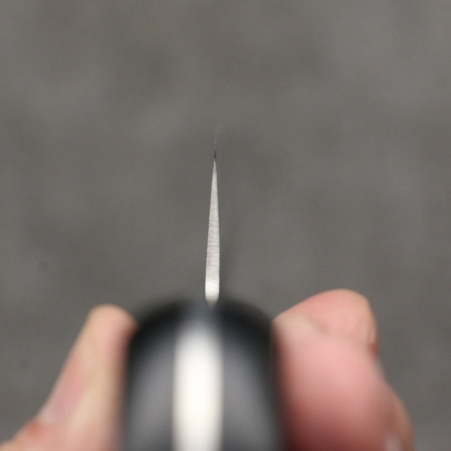 Seisuke Hamono AUS8 Hammered Sujihiki 240mm - The Sharp Chef