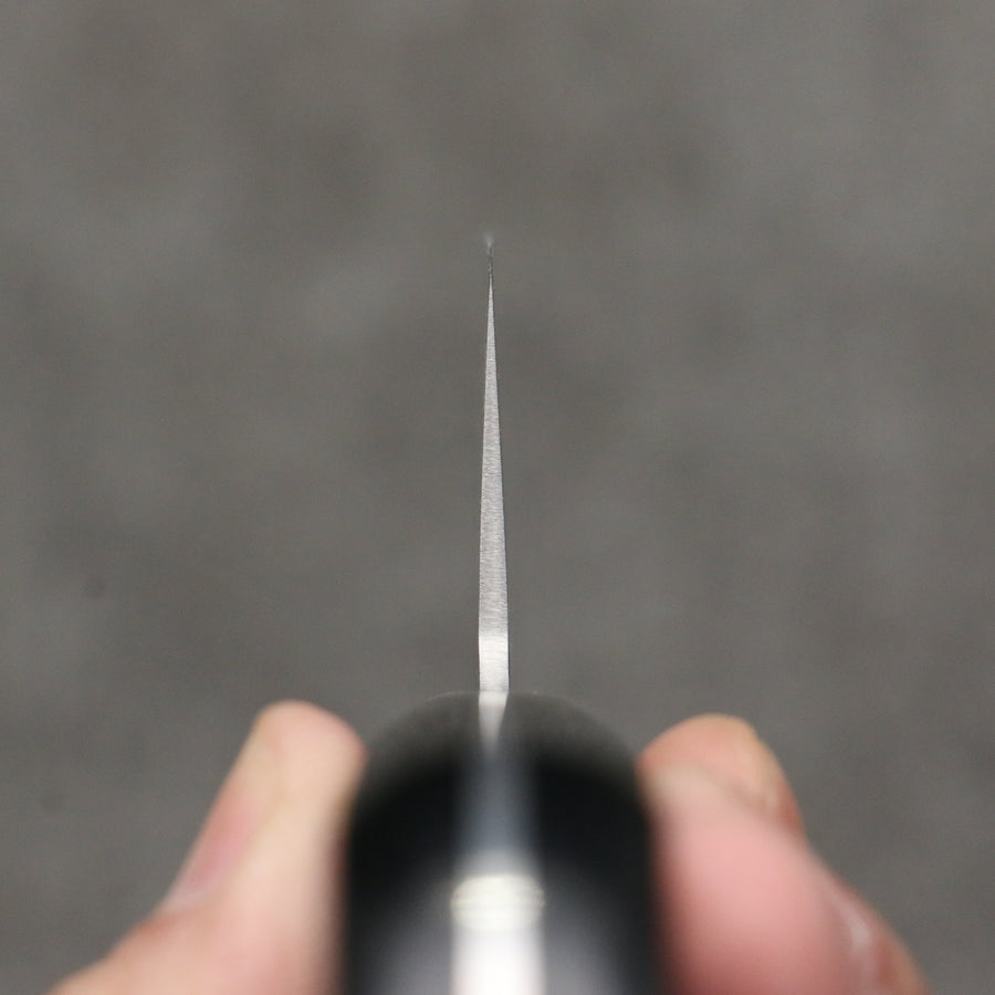 Seisuke Hamono AUS8 Hammered Gyuto 210mm - The Sharp Chef