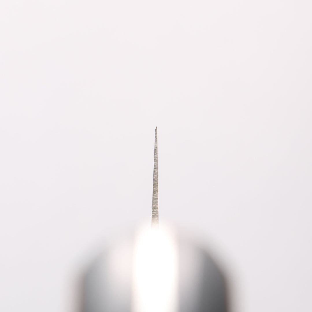 Sakai Takayuki TUS Steel 240mm Sujihiki