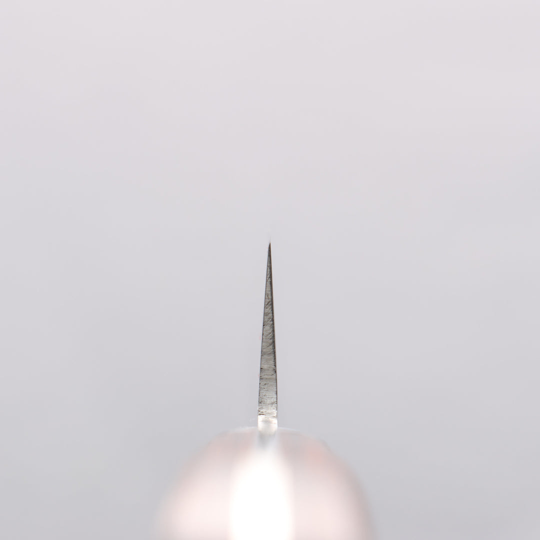 Seisuke Hamono VG10 Hammered Damascus 240mm Sujihiki