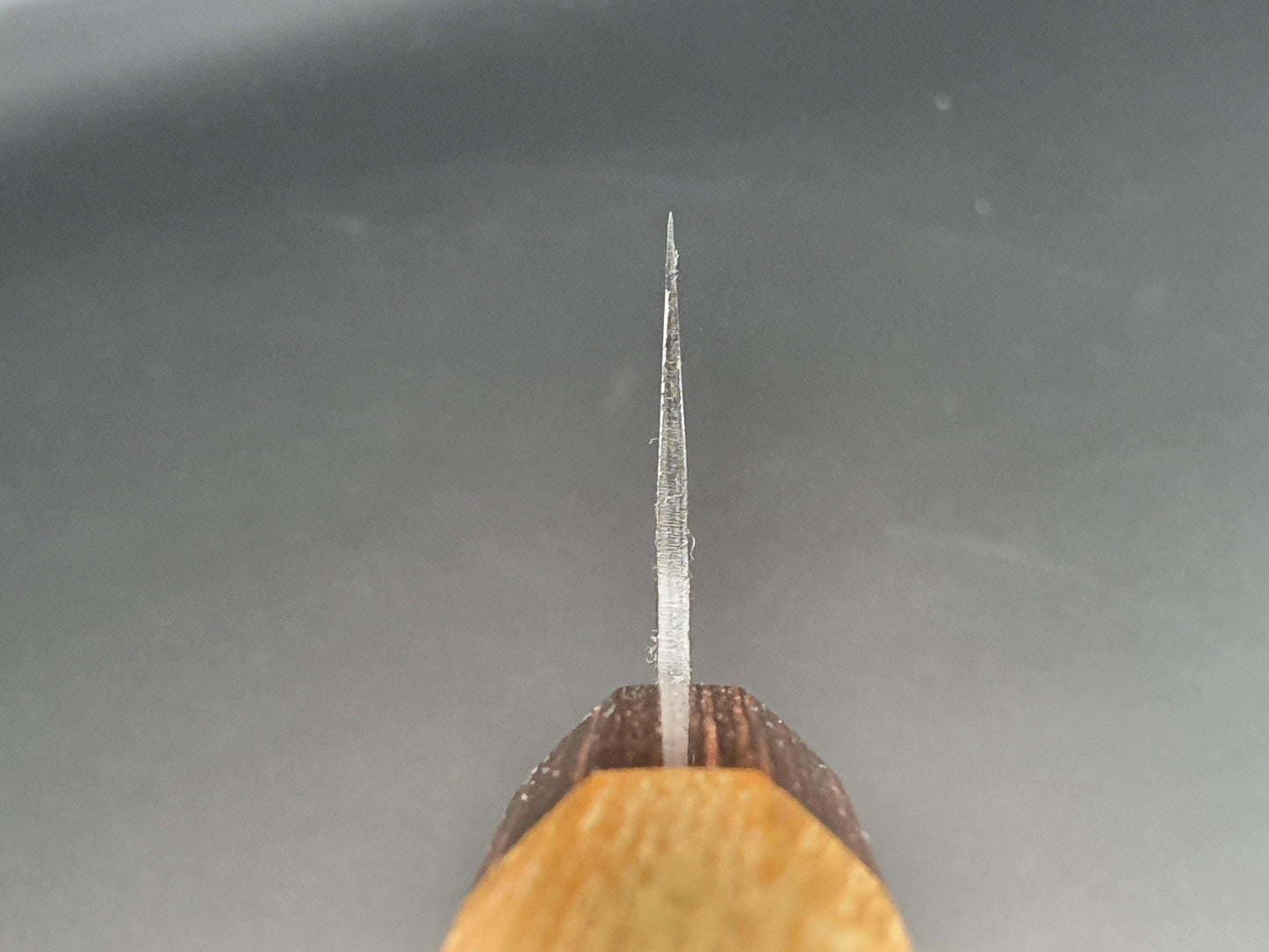 Sakai Takayuki Blue Super Kurouchi 190mm Kengata Gyuto - The Sharp Chef
