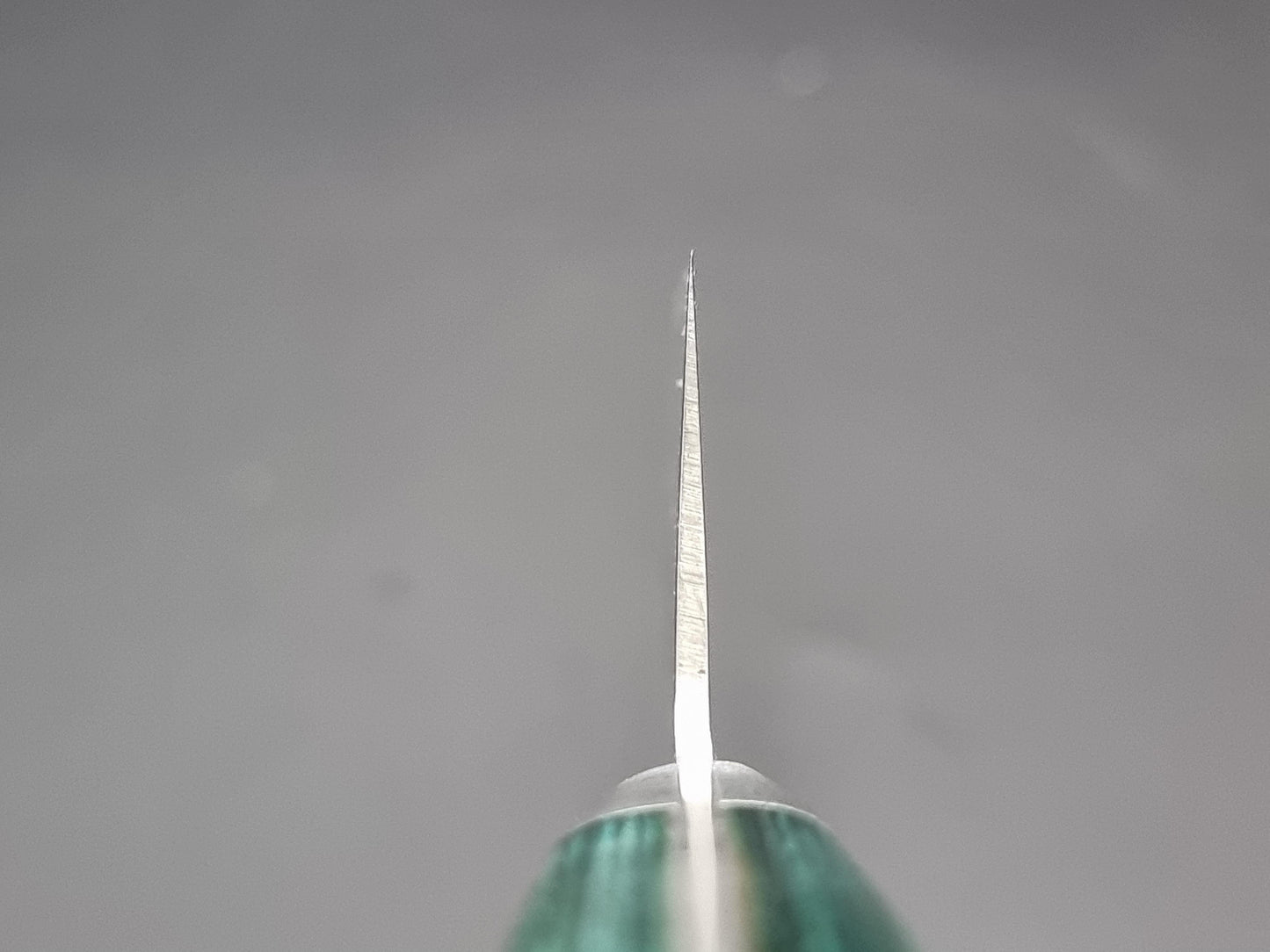 Sakai Takayuki VG10 17 Layer Hammered Damascus 170mm Santoku with Green Handle - The Sharp Chef