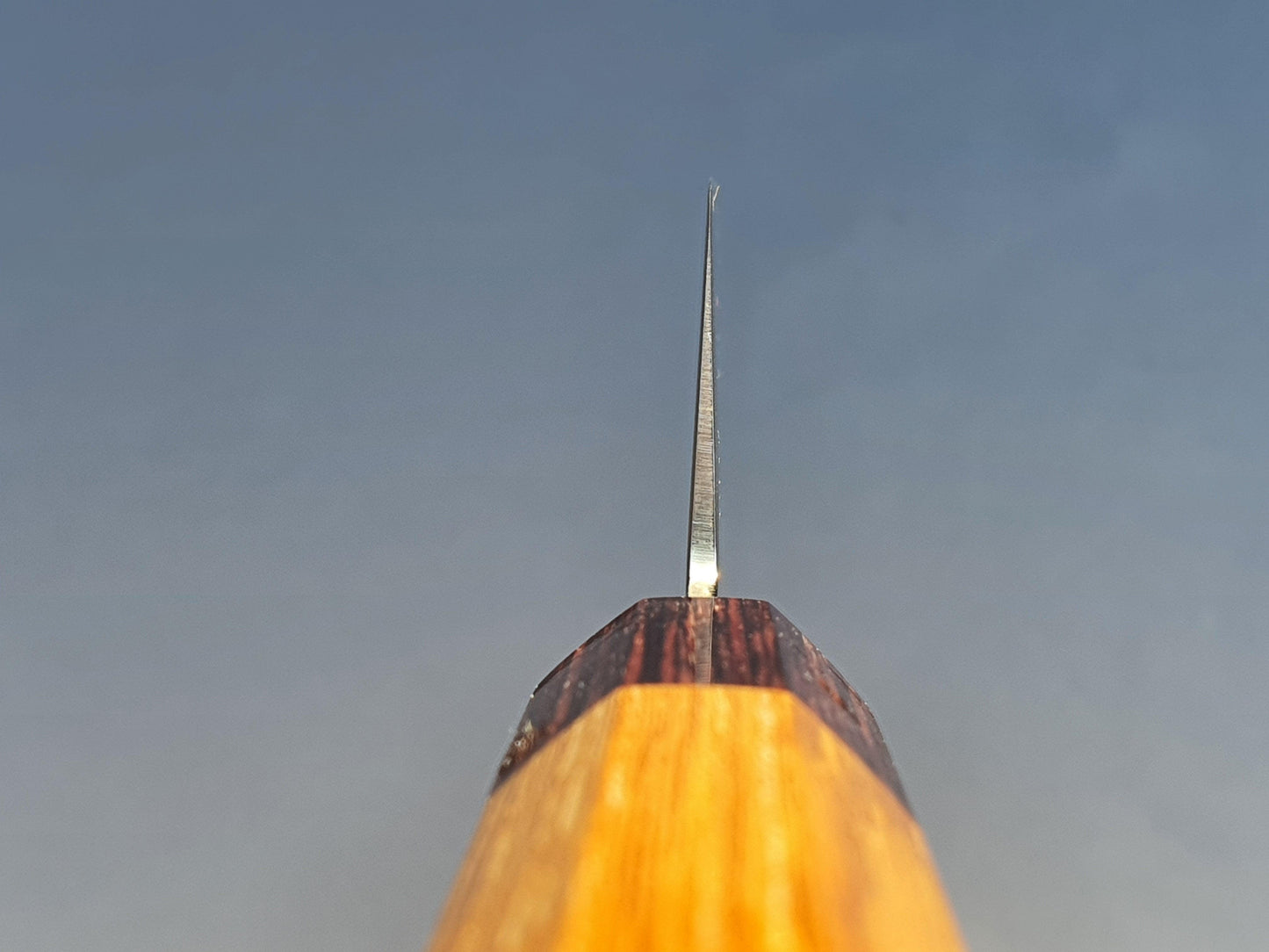 Sakai Takayuki VG10 33 Layer Hammered Damascus 160mm Nakiri with American Cherry Handle - The Sharp Chef