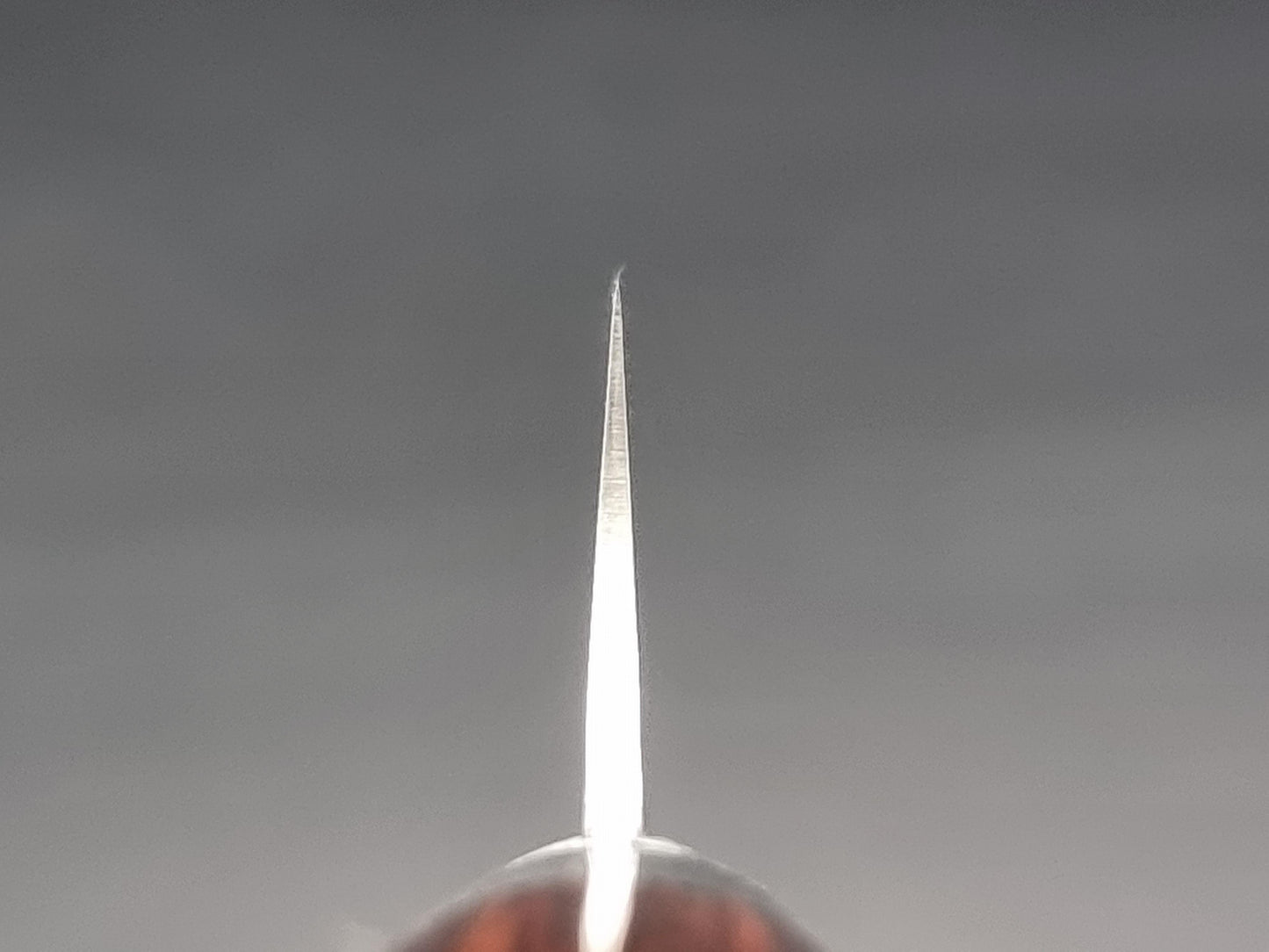 Sakai Takayuki VG10 33 Layer Hammered Damascus 240mm Sujihiki Slicer - The Sharp Chef