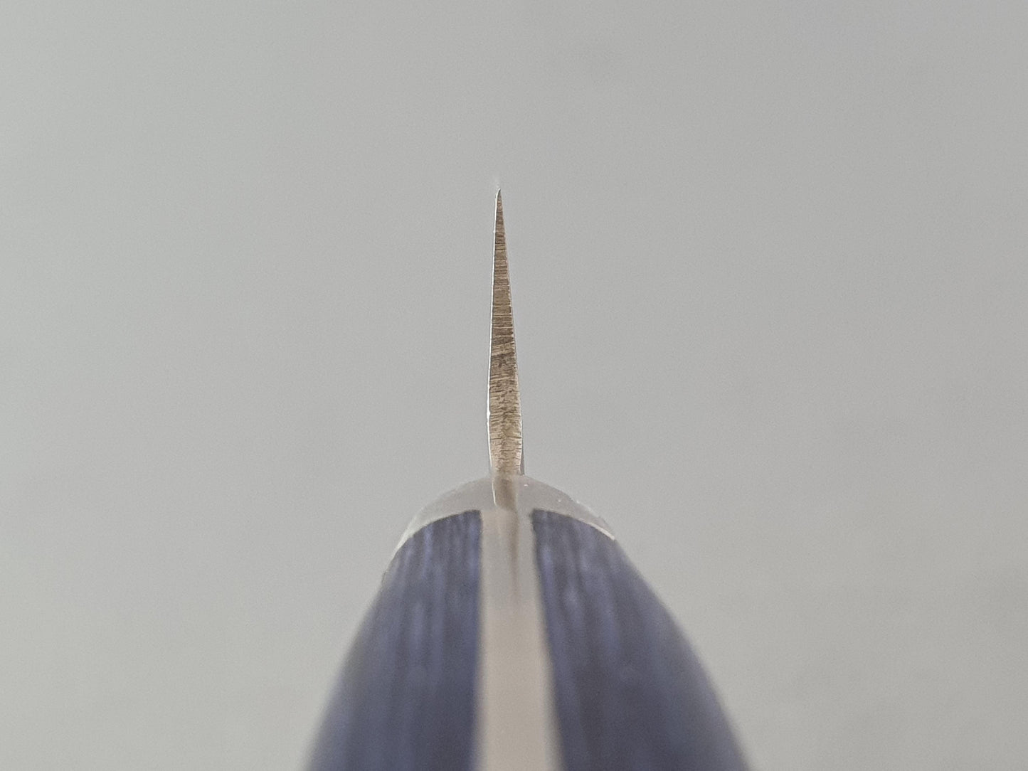 Seisuke Hamono Aogami (Blue) 2 145mm Nashiji Kiritsuke Petty - The Sharp Chef