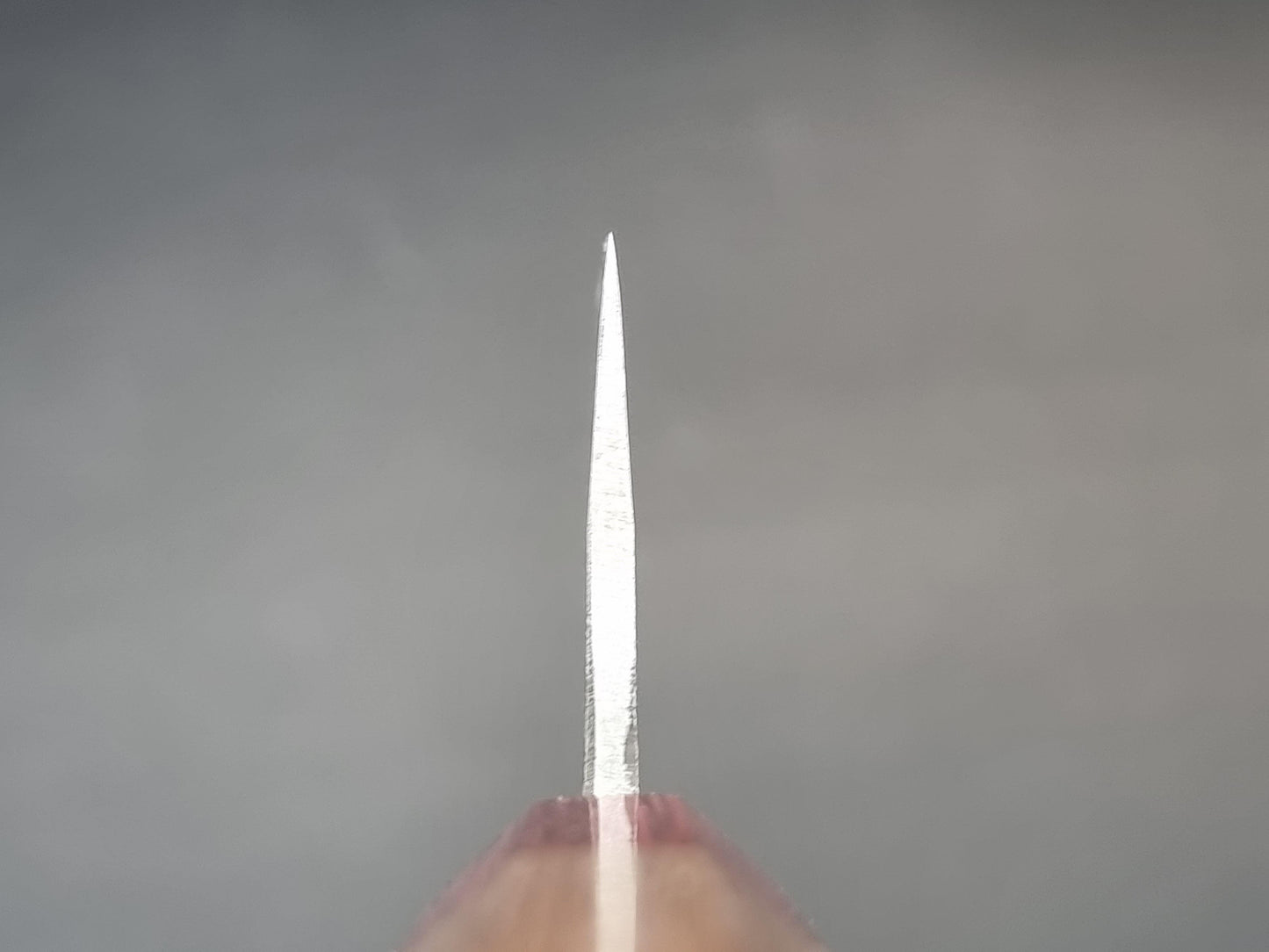 Seisuke Hamono Blue 2 Kurouchi 165mm Nakiri - The Sharp Chef