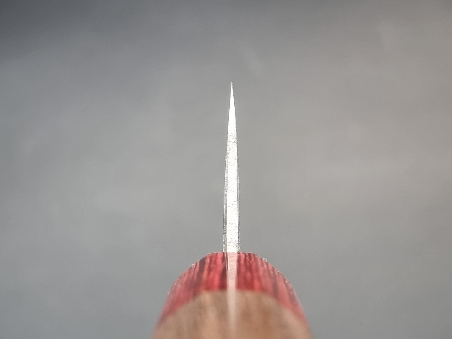 Seisuke Hamono Blue 2 Kurouchi 180mm Bunka - The Sharp Chef