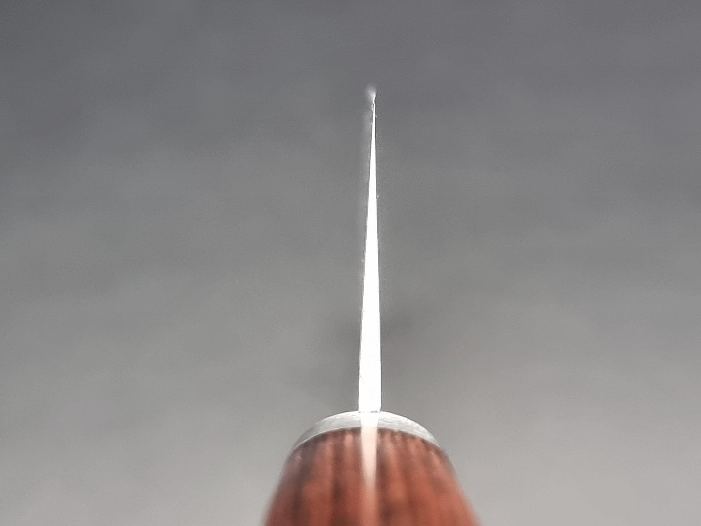 Seisuke Hamono VG1 Kasumitogi 165mm Nakiri - The Sharp Chef