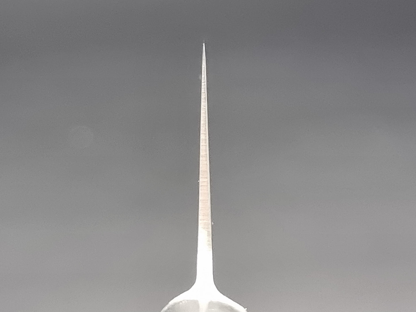 Tojiro DP 210mm Gyuto (Fujitora) - The Sharp Chef