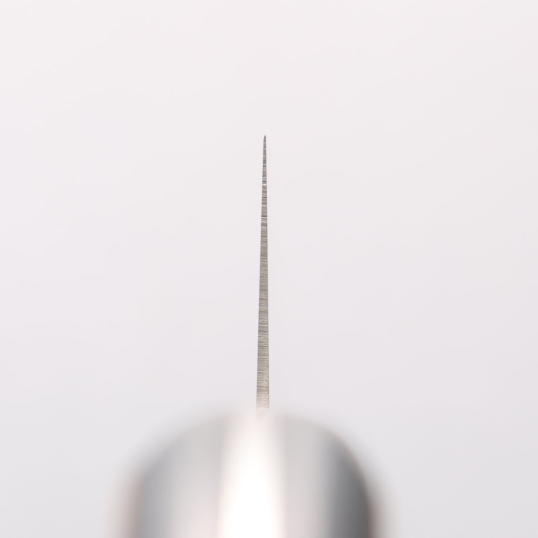 Sakai Takayuki TUS Steel 240mm Gyuto