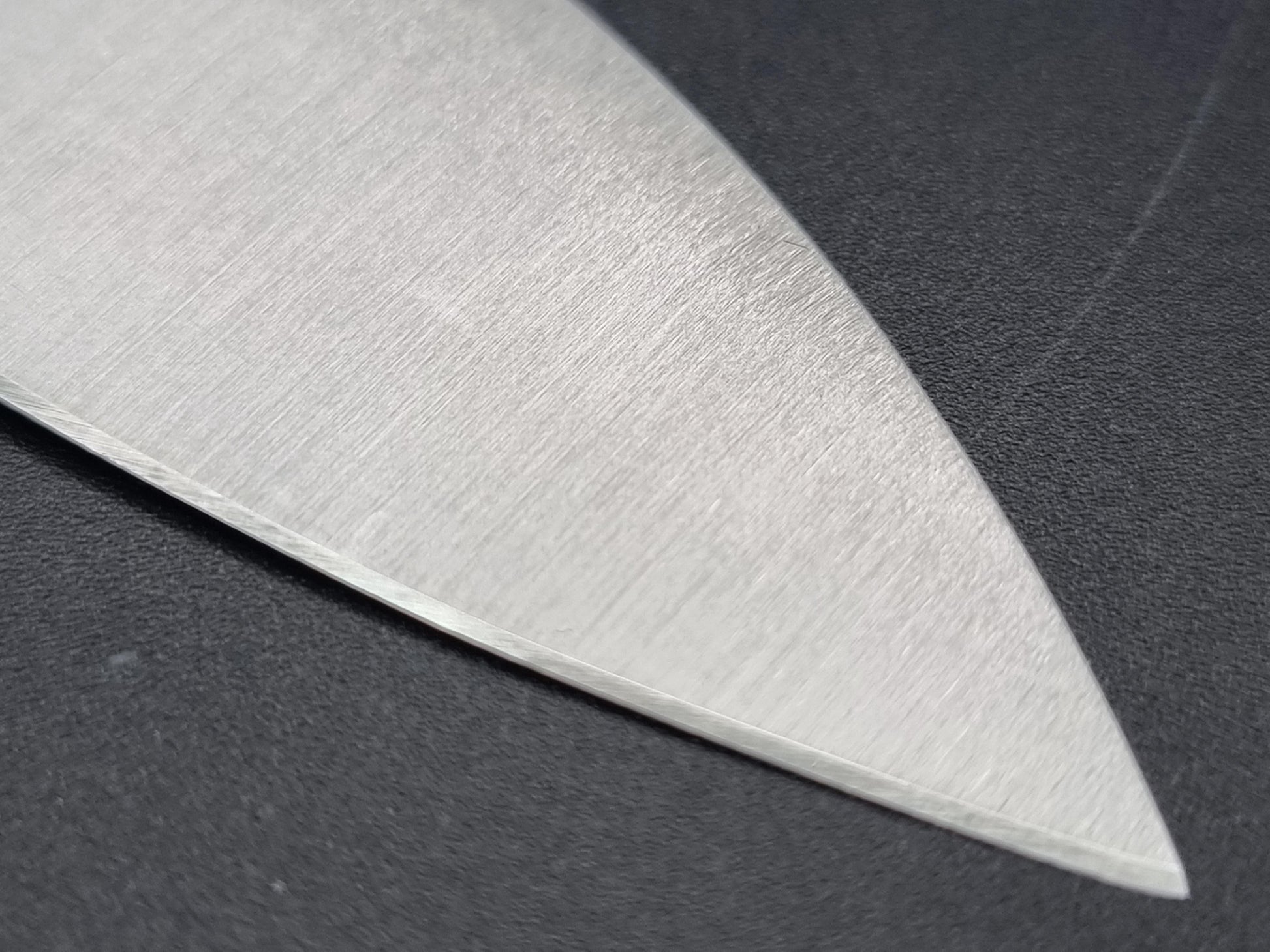 Sakai Kikumori SK Steel 210mm Gyuto - The Sharp Chef