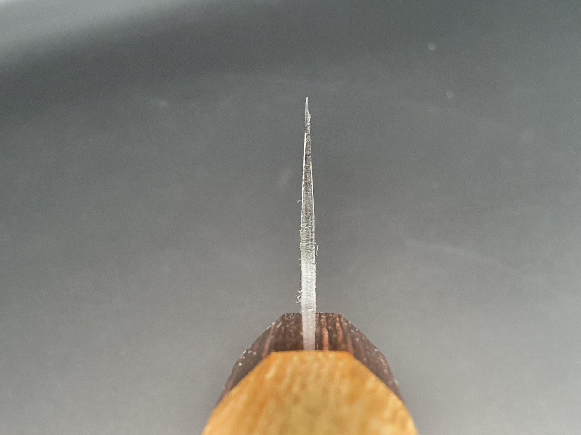 Sakai Takayuki Blue Super Kurouchi 190mm Kengata Gyuto - The Sharp Chef