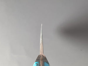Takeshi Saji R2/SG2 Black Damascus 210mm Gyuto Knife with Special Blue Handle - The Sharp Chef