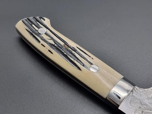 Takeshi Saji R2/SG2 Diamond Damascus 210mm Gyuto Knife with Special Handle - The Sharp Chef