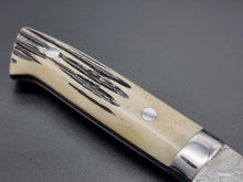 Takeshi Saji R2/SG2 Diamond Damascus 210mm Gyuto Knife with Special Handle - The Sharp Chef